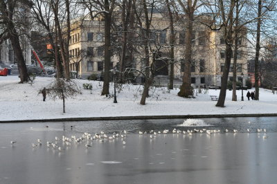 ETTERBEEK - BRUXELLES /LE  PARC LEOPOLD