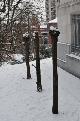 ETTERBEEK - BRUXELLES /LE  PARC LEOPOLD