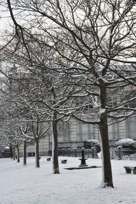 ETTERBEEK - BRUXELLES /LE  PARC LEOPOLD