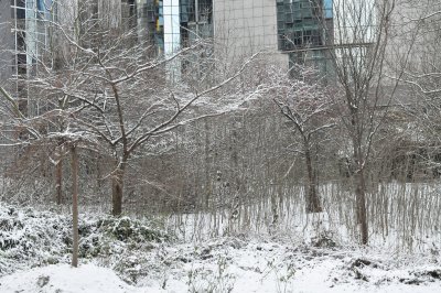 ETTERBEEK - BRUXELLES /LE  PARC LEOPOLD