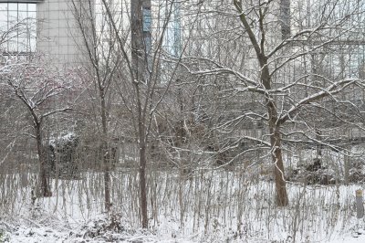 ETTERBEEK - BRUXELLES /LE  PARC LEOPOLD