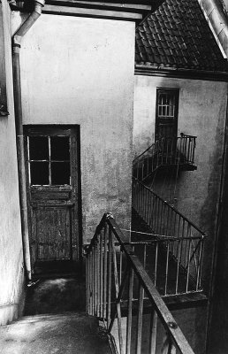 Backyard 1973