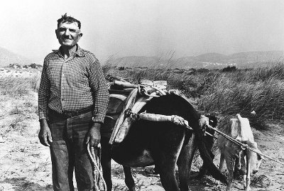 Farmer 1979