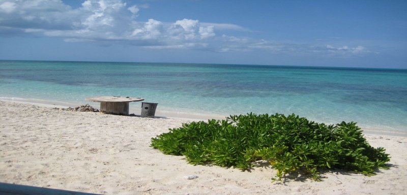 At Blue Hills-- the beach in front of Da Conch Shack