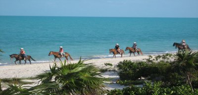 Long bay beach horseback riders