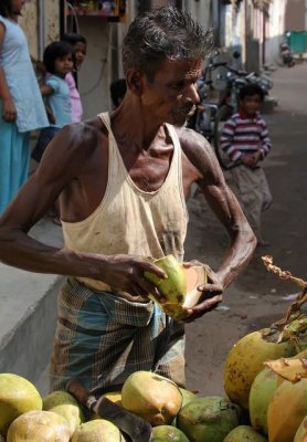 IMG_2652_DxO.jpg