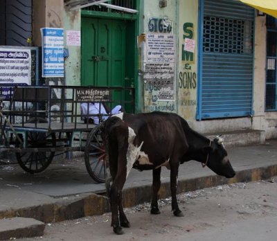 IMG_2877_DxO.jpg