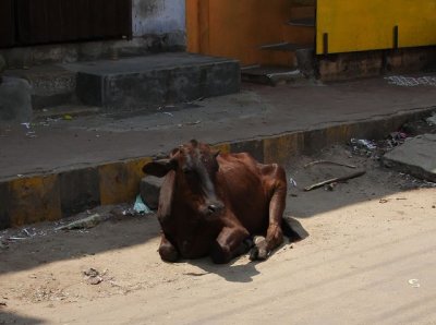 IMG_2879_DxO.jpg