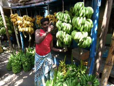 IMG_8764_DxO.jpg