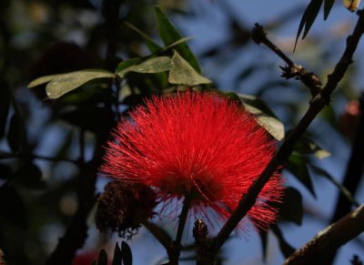 IMG_3939_DxO.jpg