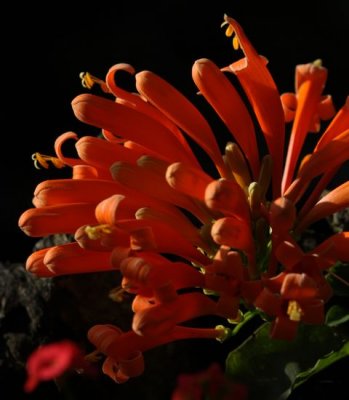 IMG_3945_DxO.jpg
