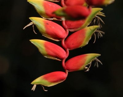 IMG_3969_DxO.jpg