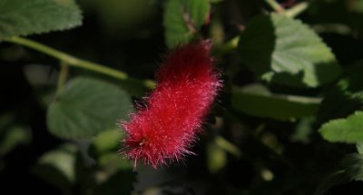IMG_4038_DxO.jpg