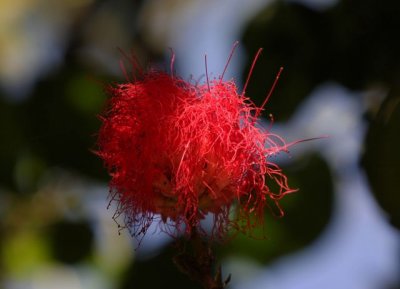 IMG_4049_DxO.jpg