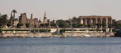 IMG_2842.jpg
