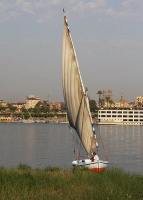 IMG_3158.jpg