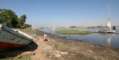 IMG_4415.jpg