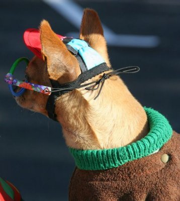 IMG_6120_DxO.jpg