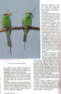 Uccelli in Natura-3 2009