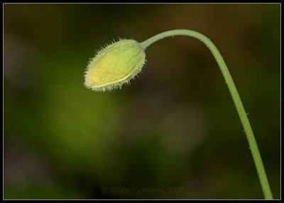 Untitled-3.jpg