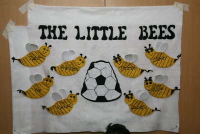 2008 Little Bees Fall Soccer