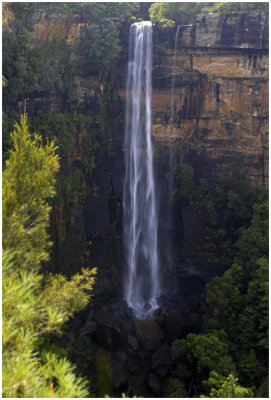 Fitzroy Falls