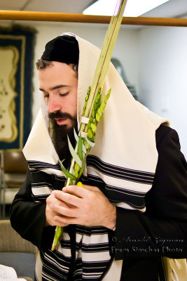 Sukkot, 08, Morning Prayers, Chol Hamoed (Intermediate Days)