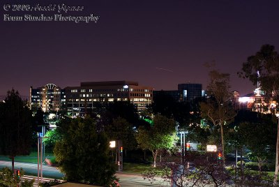 From the ledge of the library at night