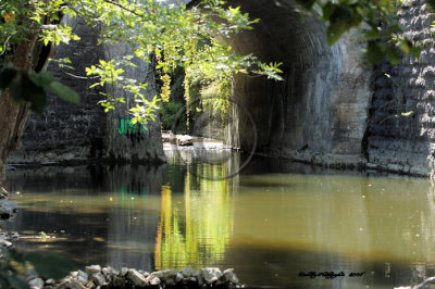 Park Pics reflection.jpg