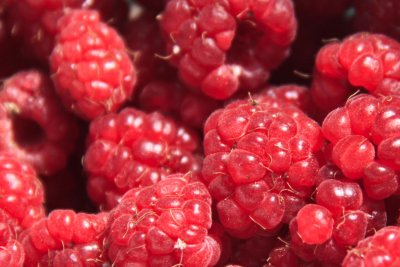 Raspberries.jpg