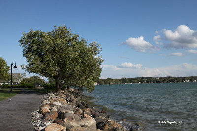 g1/87/628887/3/117781770.jLvYhSQm.jpg