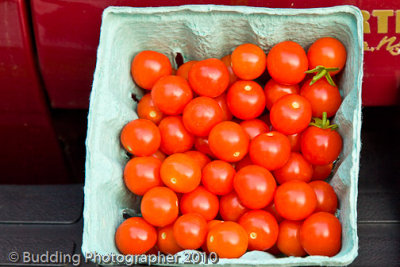 My Cherry Tomatoes.jpg