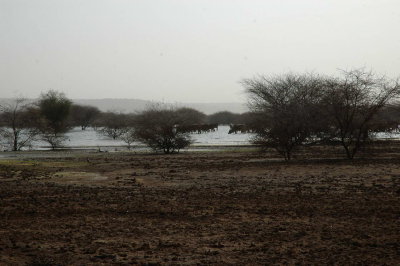 DSC_3874.JPG