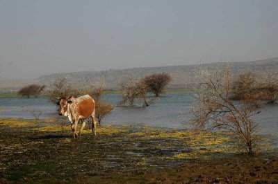 DSC_3882.JPG