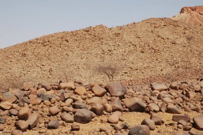 DSC_4196.JPG