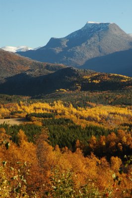 DSC_1864.JPG