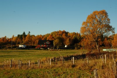 DSC_1870.JPG
