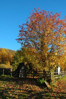 DSC_1879.JPG