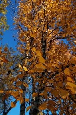 DSC_1881.JPG