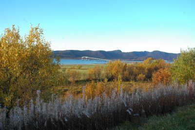 DSC_1890.JPG