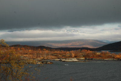 DSC_1983.JPG