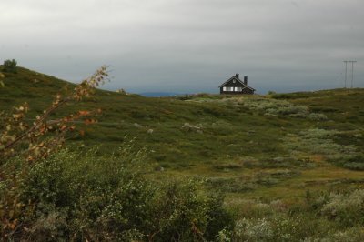 DSC_7094.JPG