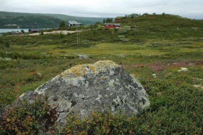 DSC_7095.JPG