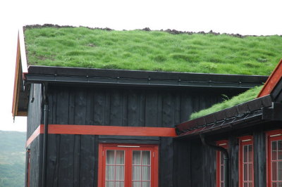 DSC_7106.JPG
