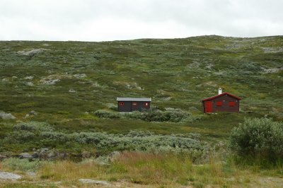 DSC_7112.JPG