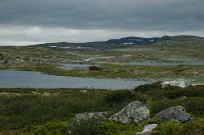 DSC_7116.JPG