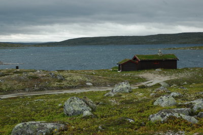 DSC_7119.JPG