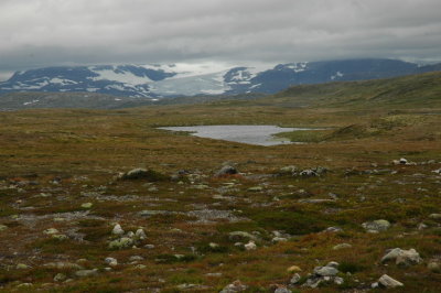 DSC_7126.JPG
