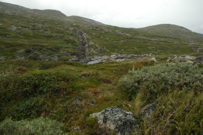 DSC_7132.JPG