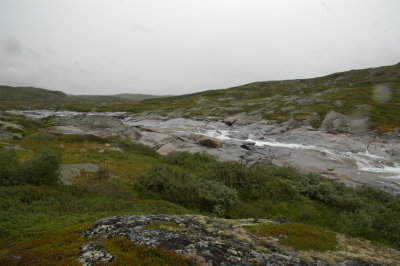 DSC_7134.JPG
